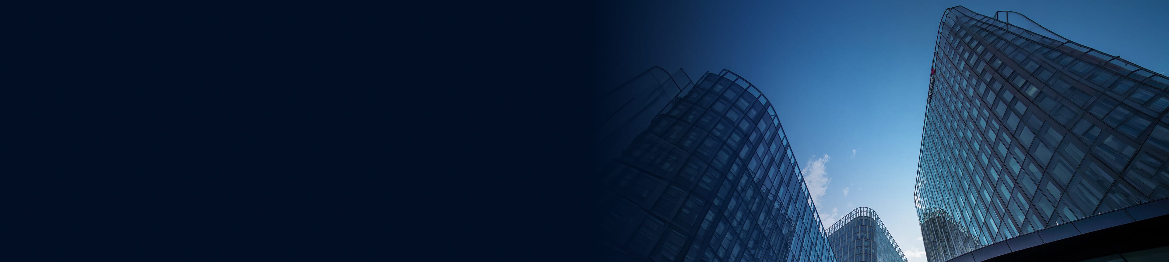 IT Consulting Services