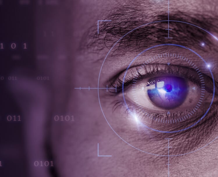 Iris Recognition