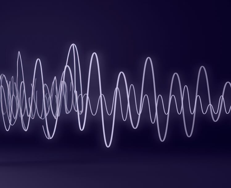 Voice Recognition