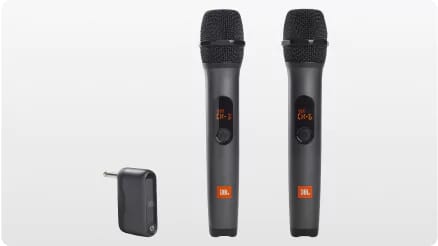 Portable Microphones