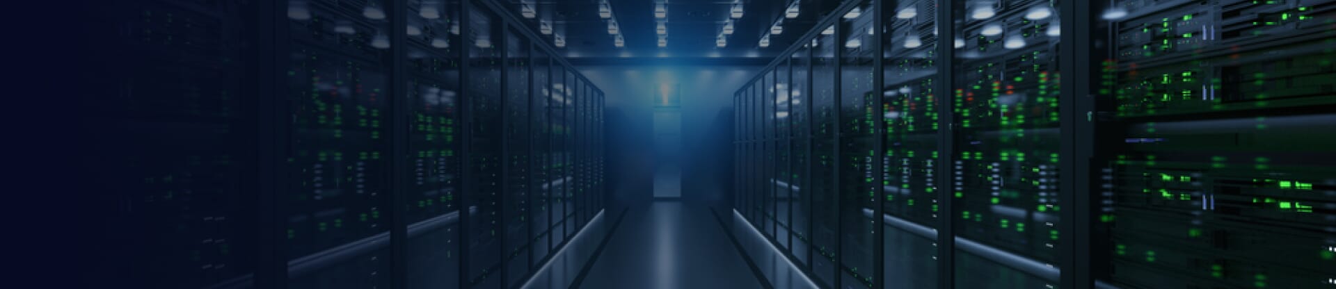 Server storage system
